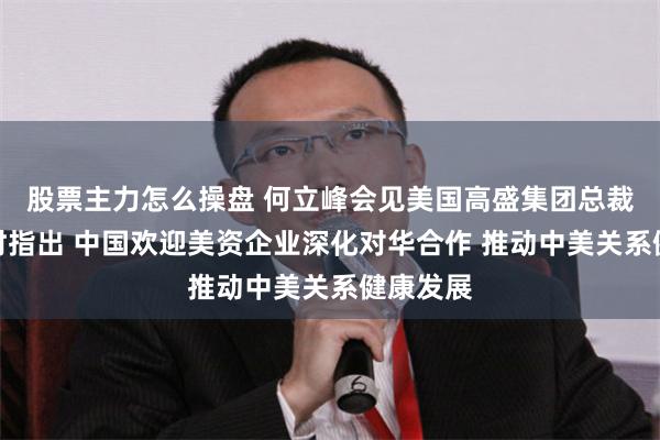 股票主力怎么操盘 何立峰会见美国高盛集团总裁温泽恩时指出 中国欢迎美资企业深化对华合作 推动中美关系健康发展