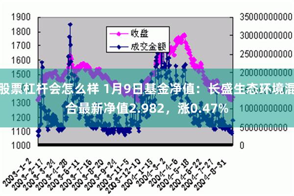 股票杠杆会怎么样 1月9日基金净值：长盛生态环境混合最新净值2.982，涨0.47%